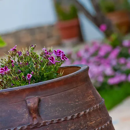 Apartment Kamares House & Studios Vourvourou