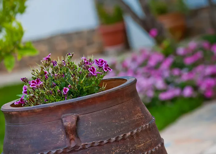 公寓 Kamares House & 沃尔沃罗